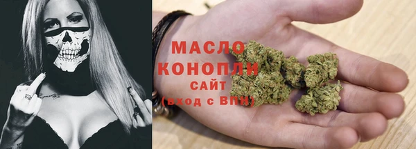 индика Наволоки