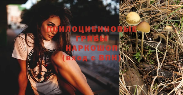 PSILOCYBIN Алексеевка